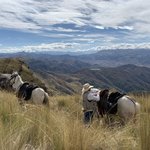 Photo taken by Mike B