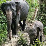 Photo taken by Judith D