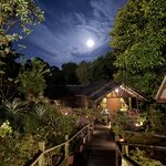 Photo taken by Edit M