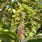 Photo taken by Victoria C