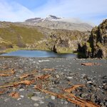 Photo taken by Tim Z