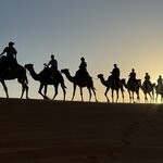 Photo taken by Pam L