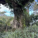 Photo taken by Deborah B