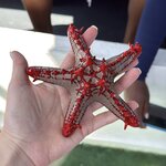 Photo taken by Gabrielle A