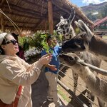 Photo taken by Terje R