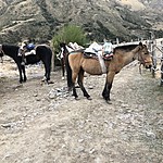 Photo taken by Brenna M