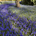 Photo taken by Monique L