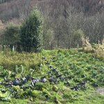 Photo taken by Maisa A