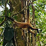 Photo taken by Andy H