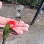 Photo taken by Elise C