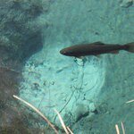 Photo taken by Chris M