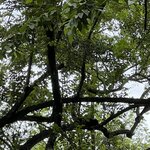 Photo taken by Natasha J