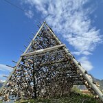 Photo taken by Susan K