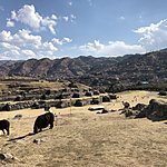 Photo taken by Katie H