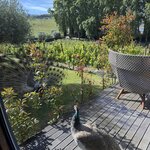 Photo taken by Alyson P