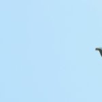 Photo taken by Graeme W