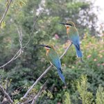 Photo taken by Graham D