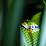 Photo taken by Jeffrey B