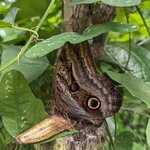 Photo taken by Jacob S