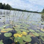 Photo taken by Becky L