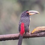 Photo taken by Jayme B