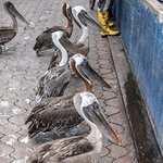 Photo taken by mindy n