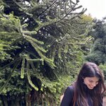 Photo taken by Sullivan S