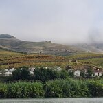 Photo taken by Laura R