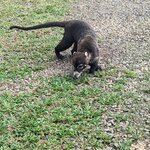 Photo taken by Jason C