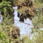 Photo taken by Barbara V