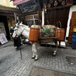 Photo taken by Rajarshi M