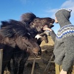 One with horses | Photo taken by Ricther T