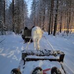 Photo taken by Jennie H