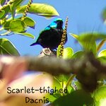 Photo taken by Susan D