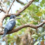 Photo taken by Graeme W