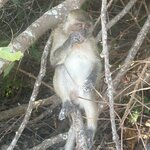 Photo taken by Collins M