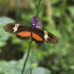 Photo taken by Alexandre M