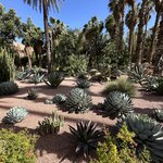 Photo taken by Logan J