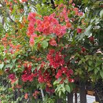 Photo taken by Sharon J