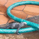 Photo taken by mindy n