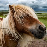 Photo taken by Peter B