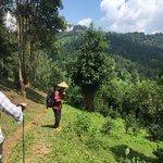 Up & Down | Photo taken by Rachael W