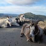 Photo taken by Mitzi F