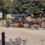 Photo taken by Ellen D