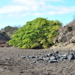 Photo taken by Natascia V