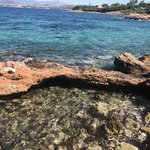 Photo taken by Shawn G