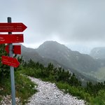 Photo taken by Janis R