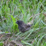 Photo taken by Patricia D