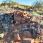 Photo taken by Katie E