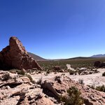 Photo taken by Shirley S